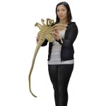 neca-aliens-foam-replica-1-1-facehugger