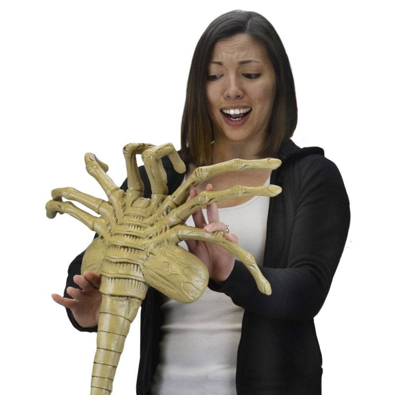 neca-aliens-foam-replica-1-1-facehugger