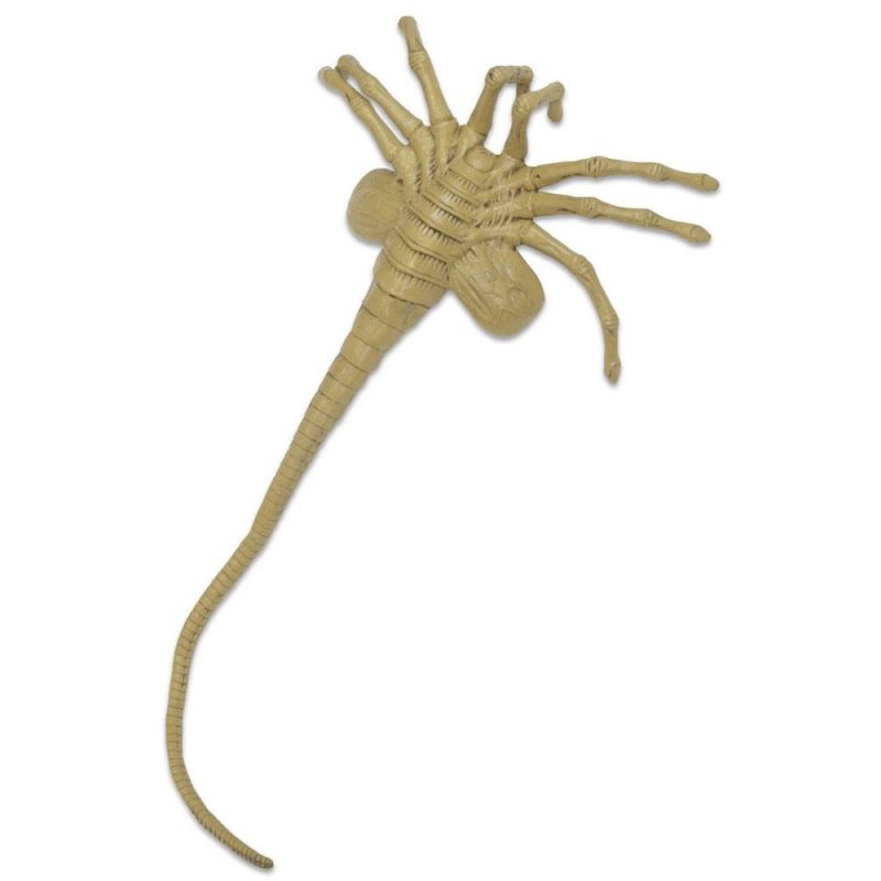 neca-aliens-foam-replica-1-1-facehugger