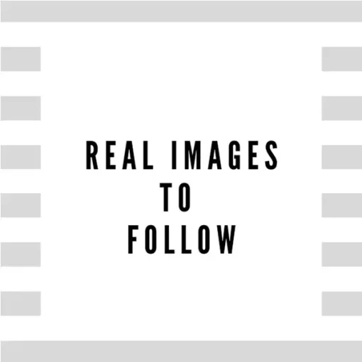 real-images-to-follow