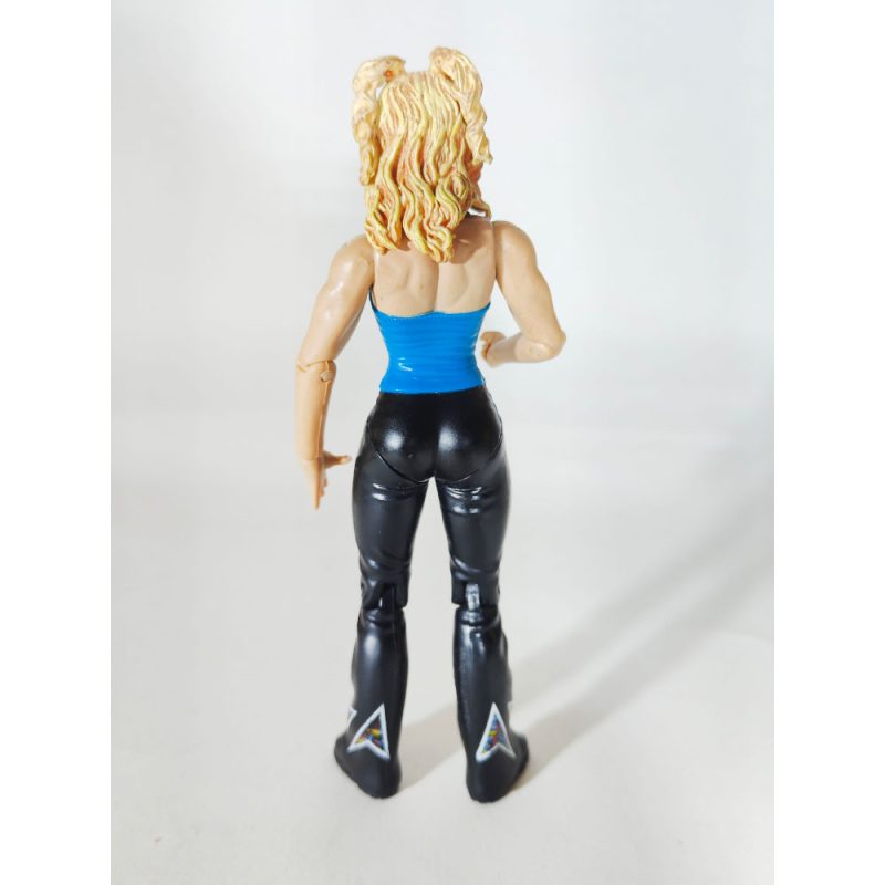 wwf-wwe-molly-holly-jakks-pacific-rulers-of-the-ring-series-4-wrestling-action-figure