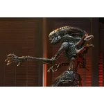 neca-alien-romulus-ultimate-scorched-xenomorph-9-inch-action-figure