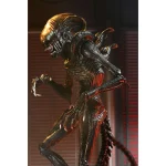 neca-alien-romulus-ultimate-scorched-xenomorph-9-inch-action-figure