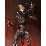 neca-alien-romulus-ultimate-scorched-xenomorph-9-inch-action-figure