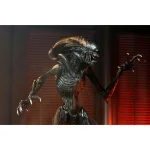 neca-alien-romulus-ultimate-scorched-xenomorph-9-inch-action-figure