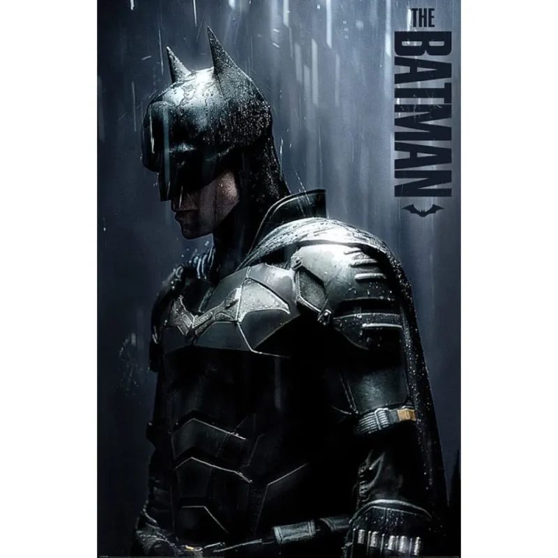 The Batman Downpour Large Maxi Poster 61 x 91 m