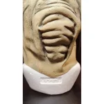 Star Wars The Phantom Menace Rune Haako Don Post Studios 1:1 Latex Mask