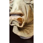 Star Wars The Phantom Menace Rune Haako Don Post Studios 1:1 Latex Mask