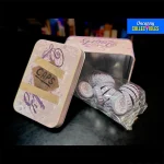 Dev Plus Fallout Nuka Quartz Bottle Caps Collectible Tin Set By Dev Plus